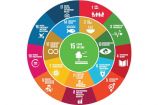 Beziehungen der SDG im Themenfeld "Land ist begrenzt - Wie gehen wir damit um?" Am 9. und 10. Mai 2017 diskutierten mehr als 500 Expertinnen und Experten auf dem 13. Forum für Nachhaltigkeit des Bundesministeriums für Bildung und Forschung (BMBF) die Umsetzung der globalen Nachhaltigkeitsziele. Unter dem Motto "Was tun mit der Agenda 2030!" thematisierte die Konferenz die Umsetzung der 17 Ziele (Sustainable Development Goals – SDG) der Vereinten Nationen.
In den Workshops ging es darum, die wichtigsten Konflikte und Synergien für die Umsetzung der Nachhaltigkeitsziele zu identifizieren und erste Handlungsempfehlungen zu entwickeln. Im Workshop "W3: Land ist begrenzt - Wie gehen wir damit um?" stand SDG 15 im Fokus der Diskussion.
