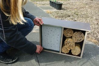 Bildbeschreibung: Stülpen Sie den Maschendrahtdeckel über den Gasstein und befestigen Sie ihn. Das Wildbienenhotel ist nun fertig.  Im Rahmen des vom Bundesministerium für Bildung und Forschung geförderten "Wissenschaftsjahrs 2012&nbsp; – Zukunftsprojekt Erde" fand des Wildbienenprojekt "Erst bauen, dann schauen" statt. Von Mai bis Ende August konnten Fotos von selbstgebauten Nistplätzen für Wildbienen für den Wettbewerb zum originellste Wildbienenhotel eingesendet werden.  FONA war inhaltlicher Kooperationspartner des Wissenschaftsjahrs 2012.