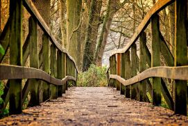 Brücke in der Natur