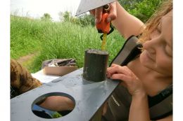 Das vom BMBF-Rahmenprogramm Forschung für nachhaltige Entwicklung (FONA) geförderte BACOSA-Projekt (Baltic Coastal System Analysis and Status Evaluation) beschäftigt sich mit der Rolle von Makrophyten als Sedimentstabilisatoren und Puffer für terrestrisch eingetragene Nährstoffe. Wissenschaftler der Universitäten Rostock, Greifswald und Kiel widmen sich der Analyse von Nährstofftransport, Sedimentationsdynamik und Benthal-Pelagial-Wechselwirkungen in flachen Küstengewässern der Ostsee. In Zusammenarbeit mit den Wirtschafts- und Sozialwissenschaften findet außerdem eine Bewertung der Ökosystemleistungen der flachen Küstengewässer statt. Die Ergebnisse von BACOSA liefern eine wichtige Grundlage für die Bewertung des Umweltzustandes der Küstenökosysteme im Rahmen der EU-Wasserrahmenrichtlinie (WRRL) und der Meeresstrategie-Rahmenrichtlinie (MSRL).