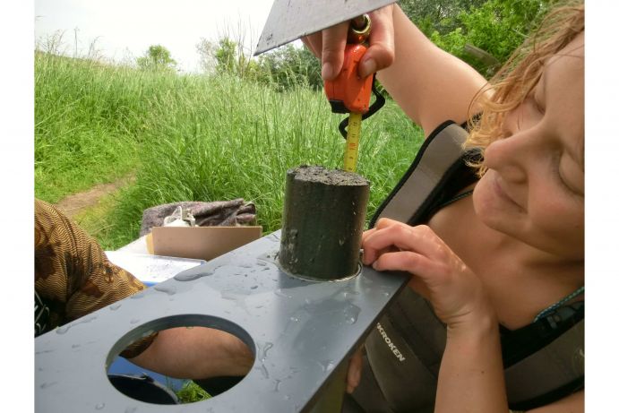 BACOSA – Sedimentanalyse der Küstengewässer der Ostsee Das vom BMBF-Rahmenprogramm Forschung für nachhaltige Entwicklung (FONA) geförderte BACOSA-Projekt (Baltic Coastal System Analysis and Status Evaluation) beschäftigt sich mit der Rolle von Makrophyten als Sedimentstabilisatoren und Puffer für terrestrisch eingetragene Nährstoffe. Wissenschaftler der Universitäten Rostock, Greifswald und Kiel widmen sich der Analyse von Nährstofftransport, Sedimentationsdynamik und Benthal-Pelagial-Wechselwirkungen in flachen Küstengewässern der Ostsee. In Zusammenarbeit mit den Wirtschafts- und Sozialwissenschaften findet außerdem eine Bewertung der Ökosystemleistungen der flachen Küstengewässer statt. Die Ergebnisse von BACOSA liefern eine wichtige Grundlage für die Bewertung des Umweltzustandes der Küstenökosysteme im Rahmen der EU-Wasserrahmenrichtlinie (WRRL) und der Meeresstrategie-Rahmenrichtlinie (MSRL).