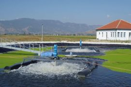 Eine der großen Herausforderungen der Zukunft ist es, die Versorgung der Weltbevölkerung mit sauberem Wasser sicherzustellen. Bevölkerungswachstum, Wasserverschmutzung und ein steigender Pro-Kopf-Wasserverbrauch belasten die Wasserqualität. Darüber hinaus beeinflussen der Klimawandel und großräumige Änderungen der Landnutzung die globalen und regionalen Wasserkreisläufe und stellen damit auch die mittel- und langfristige Wasserverfügbarkeit in Frage.  Im Fokus des Anwendungsfeldes „Nachhaltiges Wassermanagement“ stehen:

innovative Verfahren zur Trinkwassergewinnung und zur Reduktion des Wasserverbrauchs,
energieeffiziente Abwasserbehandlungsverfahren und Energiegewinnung aus Abwasser,
neuartige Konzepte und Technologien der Wasserwiederverwendung insbesondere bei einer gleichzeitigen Nutzung/Rückgewinnung von Energie und/oder (Nähr-)stoffen, sowie
effiziente Bewässerungstechnologien.&nbsp;

Mit der im Jahr 2007 gestarteten Förderinitiative „KMU-innovativ“ verfolgt das Bundesministerium für Bildung und Forschung (BMBF) das Ziel, das Innovationspotential kleiner und mittlerer Unternehmen im Bereich Spitzenforschung und damit auch ihre Wirtschaftskraft dauerhaft zu stärken. Dazu hat das BMBF das Antrags- und Bewilligungsverfahren vereinfacht und beschleunigt sowie die Beratungsleistungen für KMU ausgebaut. Ein Lotsendienst bei der Förderberatung „Forschung und Innovation“ des Bundes berät interessierte Unternehmen in allen Fragen und vermittelt verlässlich zur richtigen Antragsstelle. Zwei regelmäßige Stichtage, zum 15. April und 15. Oktober, sowie die verbindlichen und kurzen Bearbeitungszeiten für Anträge geben Planungssicherheit.  Angesprochen sind innovative KMU, die sich im global wachsenden Wassersektor etablieren bzw. ihre Position ausbauen wollen. Die Förderung erfolgt jeweils themenoffen: Wichtiger als die exakte Einordnung in ein spezifisches Themengebiet sind Exzellenz und Innovationsgrad des geförderten Projektes sowie hohe Verwertungschancen. &nbsp; Ein Überblick über die Projekte finden Sie im Förderkatalog. &nbsp; Weitere Informationen zu den Ansprechpartnern zur Förderinitiative KMU-innovativ finden sich auf dem zentralen Internetportal des BMBF: &nbsp;http://www.kmu-innovativ.de/