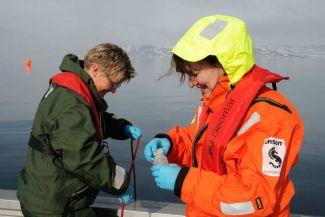 Every day, samples and measurements are taken from the mesocosms.