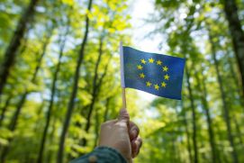 Hand mit EU-Fahne im Hintergrund Wald