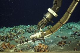 Temperaturmessung am Meeresboden: In dem neu entdeckten Hydrothermalfeld sind dichte Muschelteppiche und einzigartige Artenvielfalt entstanden.

