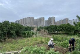In Huangyan-Taizhou treffen urbane und rurale Lebensstile aufeinander.