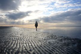 Blick auf das Wattenmeer bei Ebbe. Die Tidebecken haben eine große Bedeutung für den natürlichen Hochwasserschutz.