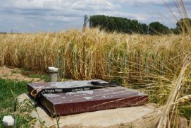 Messstelle im WaRM-Projekt