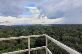 Der Blick vom Atmosphären-Messturm ATTO zeigt, wie isoliert der Turm inmitten des Regenwalds steht: Ideale Bedingungen für die Forschenden, um langfristige klimatische Veränderungen messen zu können