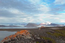 Blick auf die arktische Tundra