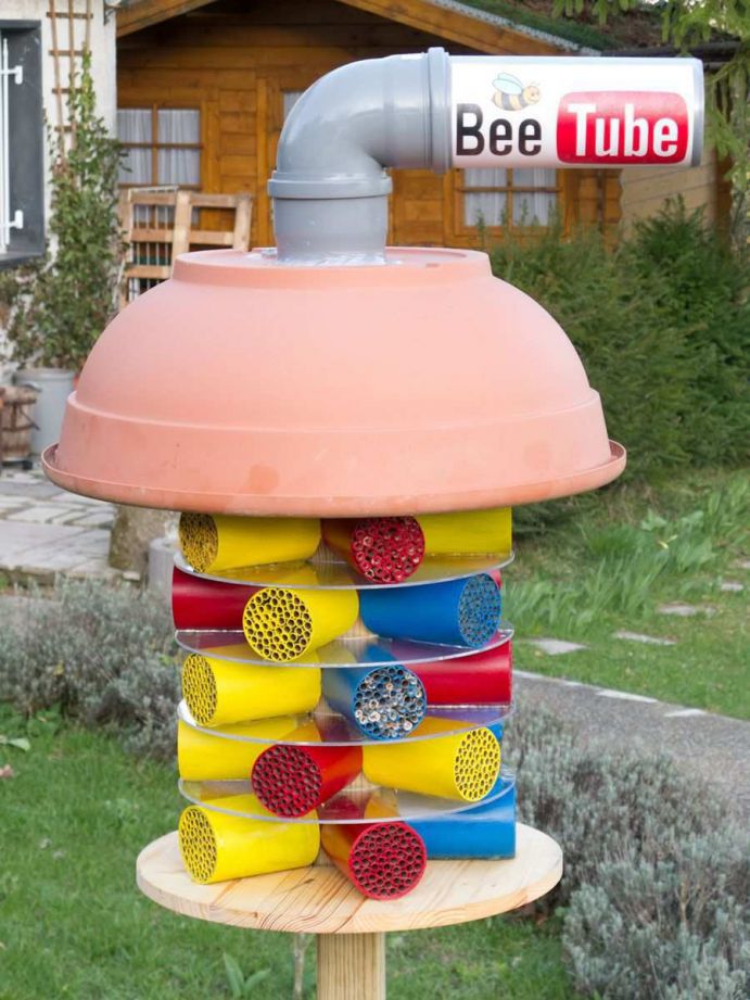 Wildbienenhotels: Bee-Tube Mediathekbild - mit dem Titel Wildbienen im Porträt (R. Jander / www.bienenhotel.de)