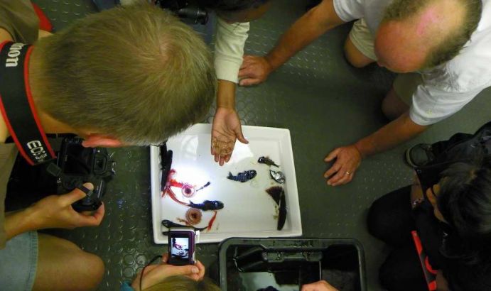 Scientists on board&nbsp;the research vessel&nbsp;SONNE