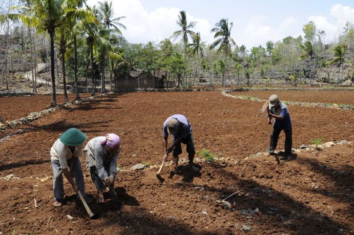IWRM Indonesien: Einheimische bei der Feldarbeit Die Trockenzeit in der Karstregion Gunung Kidul, Java, Indonesien, sorgt für extreme Wasserknappheit. Eine Vielzahl an Forschungsergebnissen des IWRM-Projektes werden sich auch auf Gegenden mit nicht verkarstetem Untergrund übertragen lassen. Insgesamt wird somit ein bedeutender Beitrag zur Lösung weltweit existierender Wasserknappheit geliefert. Integriertes Wasserressourcen-Management (IWRM) in Indonesien Der Distrikt Gunung Kidul nahe der Großstadt Yogyakarta ist eines der ärmsten Gebiete Javas. Eine Ursache liegt im zerklüfteten Karstuntergrund, in dem Oberflächenwasser sofort versickert. Dies führt in der Trockenzeit zu Wassermangel, was z. B. den landwirtschaftlichen Ertrag beeinträchtigt. Gesamtziel des deutsch-indonesischen Vorhabens ist die Stärkung einer nachhaltigen Entwicklung in Gunung Kidul durch die Etablierung eines Integrierten Wasserressourcen-Managements (IWRM). Das Projekt errichtete einen unterirdischer Bewirtschaftungsspeicher, der durch regenerative Wasserkraft Höhlenwasser fördert. In dem Folgeprojekt soll jetzt neben der Erschließung der Wasservorkommen auch ein IWRM-Konzept für die optimierte Wasserverteilung, die Wasseraufbereitung und die Abwasserentsorgung entwickelt werden. Die Fördermaßnahme IWRM wird innerhalb des BMBF Rahmenprogramms Forschung für Nachhaltige Entwicklungen (FONA) finanziert. Umgesetzt wird IWRM durch die Universität Karlsruhe, das Institut für Wasser und Gewässerentwicklung (IWG) und das Karlsruher Institut für Technologie (KIT).