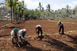 Die Trockenzeit in der Karstregion Gunung Kidul, Java, Indonesien, sorgt für extreme Wasserknappheit. Eine Vielzahl an Forschungsergebnissen des IWRM-Projektes werden sich auch auf Gegenden mit nicht verkarstetem Untergrund übertragen lassen. Insgesamt wird somit ein bedeutender Beitrag zur Lösung weltweit existierender Wasserknappheit geliefert.  Integriertes Wasserressourcen-Management (IWRM) in Indonesien Der Distrikt Gunung Kidul nahe der Großstadt Yogyakarta ist eines der ärmsten Gebiete Javas. Eine Ursache liegt im zerklüfteten Karstuntergrund, in dem Oberflächenwasser sofort versickert. Dies führt in der Trockenzeit zu Wassermangel, was z. B. den landwirtschaftlichen Ertrag beeinträchtigt. Gesamtziel des deutsch-indonesischen Vorhabens ist die Stärkung einer nachhaltigen Entwicklung in Gunung Kidul durch die Etablierung eines Integrierten Wasserressourcen-Managements (IWRM). Das Projekt errichtete einen unterirdischer Bewirtschaftungsspeicher, der durch regenerative Wasserkraft Höhlenwasser fördert. In dem Folgeprojekt soll jetzt neben der Erschließung der Wasservorkommen auch ein IWRM-Konzept für die optimierte Wasserverteilung, die Wasseraufbereitung und die Abwasserentsorgung entwickelt werden.   Die Fördermaßnahme IWRM wird innerhalb des BMBF Rahmenprogramms Forschung für Nachhaltige Entwicklungen (FONA) finanziert. Umgesetzt wird IWRM durch die Universität Karlsruhe, das Institut für Wasser und Gewässerentwicklung (IWG) und das Karlsruher Institut für Technologie (KIT). 