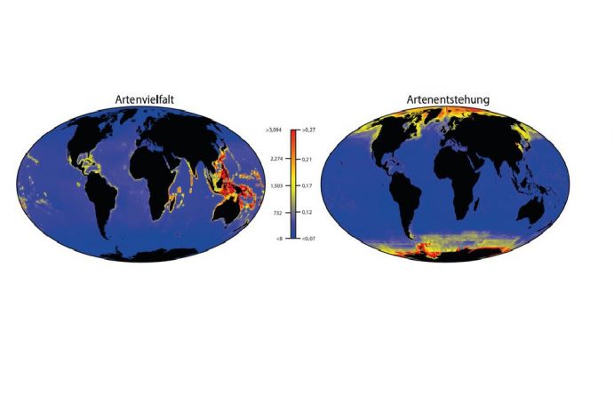 Global maps of species richness (left) and speciation rate (right).