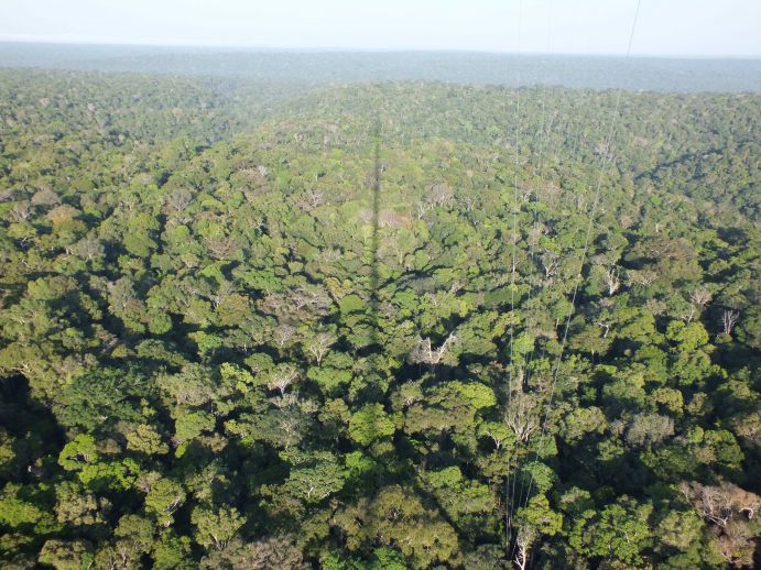 150 km nordöstlich der brasilianischen Stadt Manaus wurde im August 2015 der Klima-Messturm ATTO ("Amazonian Tall Tower Observatory") eingeweiht, der mit seinen 325 Metern den Eiffelturm um einen Meter überragt. So wird der Turm Informationen zur Treibhausgasbilanz von mehreren tausend Quadratkilometern&nbsp; - rund 50 Prozent des Amazonasbeckens - liefern können. Deutsche und brasilianische Wissenschaftler forschen dabei in einem Waldgebiet, das weit entfernt von Störungen durch menschliche Einflüsse liegt. ATTO kann somit dazu beitragen, die klimarelevanten chemischen und physikalischen Prozesse über dem Amazonasgebiet zu erfassen, zu bewerten und damit neue Grundlagen für den Klimaschutz zu schaffen.