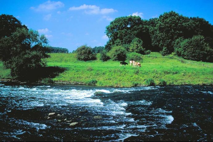 Im Rahmen von Dynaklim - „Dynamische Anpassung regionaler Planungs- und Entwicklungsprozesse an die Auswirkungen des Klimawandels in der Emscher-Lippe-Region (Ruhrgebiet)“ wurde von 2009 bis 2014 ein interdisziplinäres Netzwerk aufgebaut, das neben einer Vielzahl von Pilotprojekten auch einen erfolgreichen Katalog an Anpassungsmaßnahmen („Roadmap 2020“) entwickelt hat. Ende des Jahrhunderts soll die mittlere Jahrestemperatur in der Emscher-Lippe-Region um bis zu 3,5 °C höher liegen als heute. Außerdem rechnen Experten mit mehr Niederschlagsmengen, wobei es im Sommer weitaus seltener, dafür im Winter häufiger regnen wird. Diese Veränderungen werden sich spürbar auf den Wasserhaushalt und damit auf die Lebensbedingungen der Menschen sowie auf Sicherheit, Qualität und Kosten der Wasserver- und entsorgung auswirken.