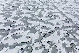 Blick auf schneebedecktes arktisches Meereis mit Schmelzwassertümpeln im Spätsommer. Der Schnee auf dem arktischen Meereis schmilzt in jedem Sommer vollständig – zurück bleiben Tümpel aus Schmelzwasser. In großen Teilen der Arktis entstehen diese Tümpel innerhalb weniger Tage, oft in den ersten Juniwochen. Sie verschwinden erst wieder mit dem Gefrieren der Oberfläche im September. Die meisten dieser Süßwassertümpel messen im Durchmesser drei bis 20 Meter. Ihre Farbe hängt vor allem von der Eisdicke unter dem Tümpel ab, da der dunkle (schwarze) Ozean dann mehr oder weniger stark durch scheint. Auf dickerem, mehrjährigem Meereis ist sie folglich eher türkis, bei dünnerem einjährigem Eis dunkelblau bis schwarz.