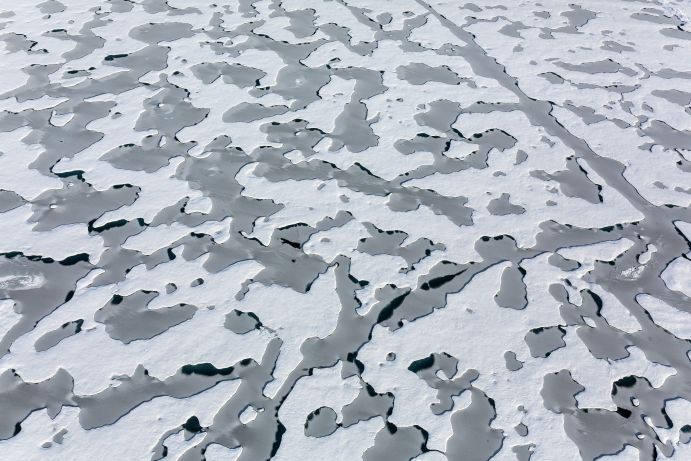 Blick auf schneebedecktes arktisches Meereis mit Schmelzwassertümpeln im Spätsommer. Der Schnee auf dem arktischen Meereis schmilzt in jedem Sommer vollständig – zurück bleiben Tümpel aus Schmelzwasser. In großen Teilen der Arktis entstehen diese Tümpel innerhalb weniger Tage, oft in den ersten Juniwochen. Sie verschwinden erst wieder mit dem Gefrieren der Oberfläche im September. Die meisten dieser Süßwassertümpel messen im Durchmesser drei bis 20 Meter. Ihre Farbe hängt vor allem von der Eisdicke unter dem Tümpel ab, da der dunkle (schwarze) Ozean dann mehr oder weniger stark durch scheint. Auf dickerem, mehrjährigem Meereis ist sie folglich eher türkis, bei dünnerem einjährigem Eis dunkelblau bis schwarz. Blick auf schneebedecktes arktisches Meereis mit Schmelzwassertümpeln im Spätsommer. Der Schnee auf dem arktischen Meereis schmilzt in jedem Sommer vollständig – zurück bleiben Tümpel aus Schmelzwasser. In großen Teilen der Arktis entstehen diese Tümpel innerhalb weniger Tage, oft in den ersten Juniwochen. Sie verschwinden erst wieder mit dem Gefrieren der Oberfläche im September. Die meisten dieser Süßwassertümpel messen im Durchmesser drei bis 20 Meter. Ihre Farbe hängt vor allem von der Eisdicke unter dem Tümpel ab, da der dunkle (schwarze) Ozean dann mehr oder weniger stark durch scheint. Auf dickerem, mehrjährigem Meereis ist sie folglich eher türkis, bei dünnerem einjährigem Eis dunkelblau bis schwarz.