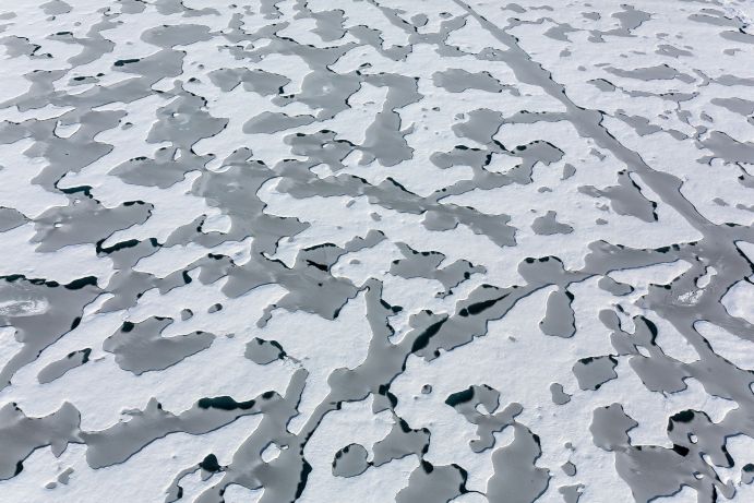 View on arctic sea ice covered by meltwater ponds in late summer. &#8232;The snow on the Arctic sea ice melts completely each summer - remain ponds of Melt water. In large parts of the Arctic these ponds arise within a few days, often in the first weeks of June. They disappear again only with the freezing of the surface in September. Most of these freshwater ponds measure in diameter between three and 20 meters. Their color depends primarily on the thickness of the ice under the ponds, because the dark (black) ocean then more or less shining through. In thicker, perennial sea ice it is consequently more turquoise, with thinner one-year ice dark blue to black.