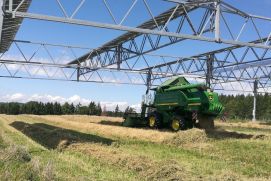 The first grain harvest of the APV system is being gathered.