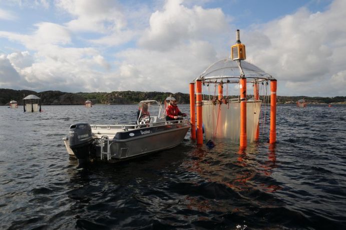 In mehreren Langzeitexperimenten mit den KOSMOS-Meskosmen haben die BIOACID-Mitglieder Reaktionen der marinen Okösysteme auf die Ozeanversauerung untersucht.