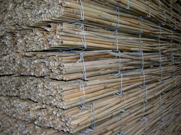 Paludikultur: Drahtgebundene Dämmplatten aus Schilf Forschende der Universität  Greifswald haben im Projekt "Paludikultur"
nachgewiesen, dass die landwirtschaftliche Nutzung der Moore durchaus im
Einklang mit der Natur erfolgen kann. Die Feuchtbiotope müssen dafür
nicht trocken gelegt werden, sondern können in ihrem ursprünglichen
Zustand  genutzt werden. Paludikultur, zusammengesetzt aus den lateinischen Wörtern „palus“
(Sumpf) und „cultura“ (Bewirtschaftung) ist die land- oder
forstwirtschaftliche Nutzung von nassen oder wiedervernässten Moorböden.
Fotoinhalt: Die Ernte von Schilf liefert einen stofflich sowie auch energetisch nutzbaren Rohstoff. Drahtgebundene Dämmplatten sind in verschiedenen Stärken verfügbar (2009, Neusiedler See/Österreich).
Weitere Informationen finden Sie hier.
Am 22.11.2013 verlieh das Bundesministerium für Bildung und Forschung (BMBF) im Rahmen des Deutschen Nachhaltigkeitspreises bereits zum zweiten Mal den Forschungspreis „Nachhaltige Entwicklungen". Dieses Jahr wurde das Projekt „Vorpommern Initiative Paludikultur (VIP)“ von der Universität Greifswald ausgezeichnet. Georg Schütte, Staatssekretär im Bundesforschungsministerium,
bezeichnete das Projekt als beispielhaft für die Forschung zur
Nachhaltigkeit.
Wissenschaftler der Universität haben nachgewiesen, dass die landwirtschaftliche Nutzung der Moore durchaus im Einklang mit der Natur erfolgen kann. Die Feuchtbiotope müssen dafür nicht trocken gelegt werden, sondern können in ihrem ursprünglichen Zustand  genutzt werden.