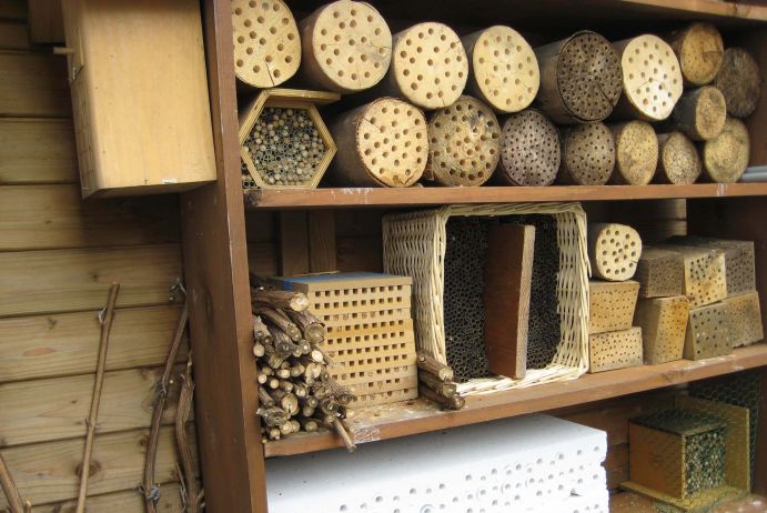 Wildbienenhotels - Tipps zum Selberbauen: abwechslungsreicher Hotelkomplex Bildbeschreibung: Hier mal ein Stein, dort ein Stück Stamm oder Totholz – mit den Jahren lässt sich ein abwechslungsreicher Hotelkomplex errichten. Im Rahmen des vom Bundesministerium für Bildung und Forschung geförderten "Wissenschaftsjahrs 2012 – Zukunftsprojekt Erde" fand des Wildbienenprojekt "Erst bauen, dann schauen" statt. Von Mai bis Ende August konnten Fotos von selbstgebauten Nistplätzen für Wildbienen für den Wettbewerb zum originellste Wildbienenhotel eingesendet werden. FONA war inhaltlicher Kooperationspartner des Wissenschaftsjahrs 2012.