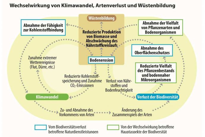 Diese Grafik stammt aus der aktuellen Ausgabe von Perspektive Erde „Klimaforschung – Fakten für Entscheider“, die BMBF-geförderte Initiativen zur Klimaforschung präsentiert. 