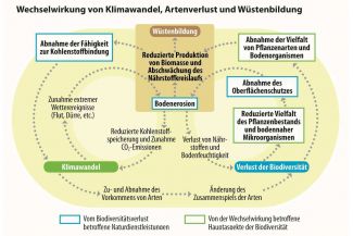 Diese Grafik stammt aus der aktuellen Ausgabe von Perspektive Erde „Klimaforschung – Fakten für Entscheider“, die BMBF-geförderte Initiativen zur Klimaforschung präsentiert. 