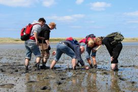 Wadden Sea sampling