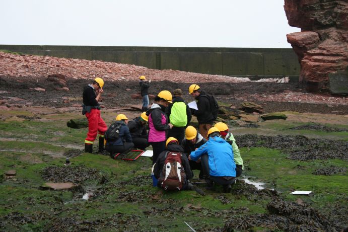 Coastal researchers taking samples at Helgoland