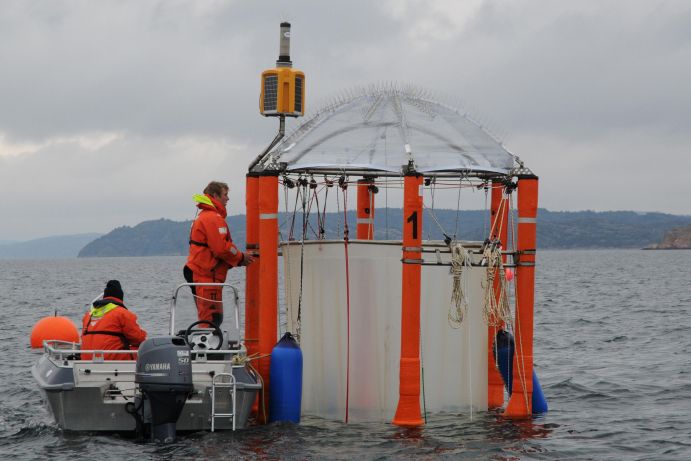 Scientists take water samples from a mesocosm in Sweden