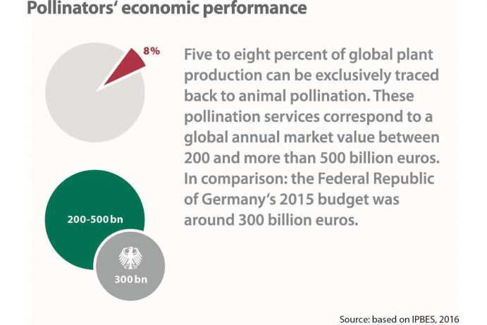 Pollinators' economic performance Sie ist die Grundlage unserer Existenz: Die biologische Vielfalt. Sie trägt zur Klimaregulierung und Trinkwassererzeugung bei und liefert dem Menschen Nahrungs- und Heilmittel. Der steigende Verbrauch natürlicher Ressourcen zerstört Ökosysteme und führt zur drastischen Reduzierung der Artenvielfalt auf der ganzen Welt.Diese Grafik stammt aus der aktuellen Ausgabe von Perspektive Erde „Artenvielfalt: Das große Sterben?“, die Beispiele aus der BMBF-Förderung von Forschungsprojekten zum Schutz und zur nachhaltigen Nutzung von Biodiversität präsentiert.Weitere Informationen zu IPBES und der Rolle deutscher Wissenschaftler im IPBES-Prozess finden Sie in der Ausgabe von Perspektive Erde "Artenvielfalt: Das große Sterben?", die Sie hier herunterladen können: www.fona.de/biodiversity