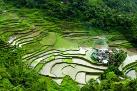 Der Ort Banga'an in der philippinischen Provinz Ifugao liegt inmitten von bewässerten Reisfeldern und ist Teil des UNESCO-Weltkulturerbes. Als eines von zwölf Projekten des Forschungsprogramms „Nachhaltiges Landmanagement", untersuchten Wissenschaftler gemeinsam mit Landnutzern unter welchen Bedingungen ökologischer Reisanbau (Eco-engineering) wirtschaftlich rentabel sein kann. Über sieben Jahre förderte das Bundesministerium für Bildung und Forschung (BMBF) mit diesem Programm die Untersuchung und Berechnung von Wechselwirkungen zwischen Landnutzung, Klimawandel, Verlust der Biodiversität, Bevölkerungswachstum und Globalisierung. Im Fokus standen Regionen, die einem globalen und lokalen Wandel wie etwa Klimaveränderung oder Schwankungen am Weltmarkt besonders stark ausgesetzt sind. Dazu gehören Steppen in Russland, tropische Regenwälder in Brasilien oder Wälder und Flusslandschaften in China und Vietnam. Zu den Auswirkungen zählen der Verlust an Biodiversität, die rasante Abholzung der Wälder und die damit zusammenhängende Erosion von Boden oder Überschwemmungen und Versalzung. Andere Praxisbeispiele betreffen etwa den Einsatz von Direktsaat auf Großfarmen in Sibirien, integriertes Management von Flusseinzugsgebieten und Stauseen für Wasserkraft und Bewässerung in Brasilien und Vietnam sowie integrierte Land- und Wassermanagementkonzepte im Einzugsgebiet des Okavango in Afrika.Das Buch „Making sense of research for sustainable land management" [http://www.ufz.de/makingsense] beschreibt Praktiken und enthält Empfehlungen zum nachhaltigen Landmanagement, die als Ergebnisse der Fördermaßnahme entstanden sind.