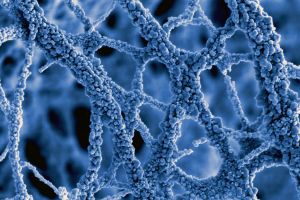 Kohlenstoff/Metalloxid-Nanofasern für Energiespeicher mit hoher Kapazität in Lithium-Ionen-Batterien. Kohlenstoff/Metalloxid-Nanofasern für Energiespeicher mit hoher Kapazität in Lithium-Ionen-Batterien.