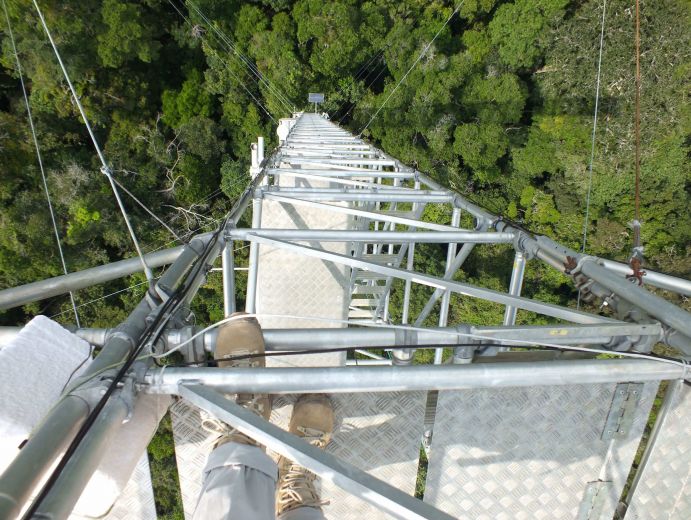 ATTO - Blick nach unten (Susanne Benner / MPI für Chemie)