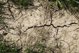 Cracks in the soil due to drought