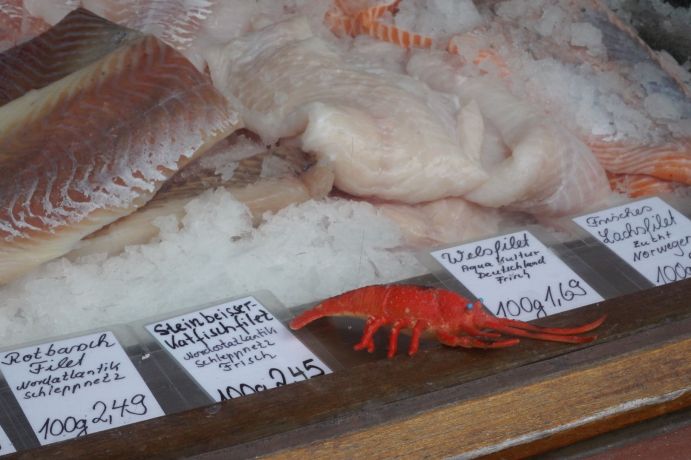 Auslage von Frischfisch im Fischladen