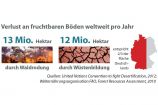 Verlust an fruchtbaren Böden weltweit pro Jahr Land ist lebenswichtig und vor allem: es wird knapp! Wüstenbildung, Waldrodung und Übernutzung nehmen zu. So konkurrieren die Nahrungsmittelproduktion und der Anbau nachwachsender Energierohstoffe national und weltweit um produktives Nutzland. Damit sind Konflikte vorprogrammiert.Ein nachhaltiges Landmanagement kann aber dazu beitragen, die Folgen des Klimawandels zu begrenzen. Dazu brauchen wir neue Lösungen aus der Forschung. Gesucht werden Wege, wie eine optimale Bewirtschaftung der Böden gelingt, ohne die Ressource Land auszubeuten.Das Bundesministerium für Bildung und Forschung (BMBF) hat deshalb die Fördermaßnahme „Nachhaltiges Landmanagement“ initiiert. Im Mittelpunkt stehen Regionen, die besonders stark unter Veränderungen leiden – sei es in Madagaskar oder in deutschen Regionen, die vom demografischen Wandel besonders betroffen sind. Das BMBF investiert insgesamt 115 Millionen Euro in den Jahren 2010-2016.Diese Grafik stammt aus der aktuellen Ausgabe von Perspektive Erde „Wem gehört das Land?“, die BMBF-geförderte Projekte zum nachhaltigen Landmanagement präsentiert.