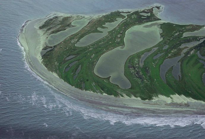 Coastal zone Graswarder