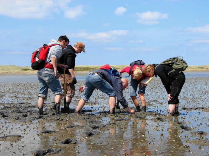 Studierende bei der Probennahme im Watt