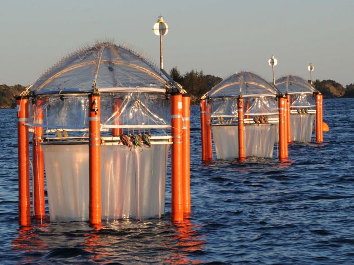 In den KOSMOS Mesokosmen lassen sich Lebensgemeinschaften direkt im Meer isolieren. Das Wasser in den schwimmenden Riesen-Reagenzgläsern kann auf zukünftige Kohlendioxid-Niveaus gebracht werden. Mesokosmen-Studien führen vor Augen, dass komplexe Wechselbeziehungen darüber entscheiden, wie das marine Ökosystem auf Ozeanversauerung reagiert.