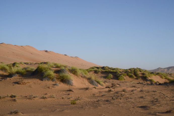 Im südlichen Afrika, wie etwa in Namibia, spielt die Frage der Ernährungssicherheit für die zunehmend wachsende Bevölkerung eine große Rolle. Durch den Klimawandel verschärft sich die Situation, da immer mehr Gebiete von anhaltenden Dürren betroffen sind.