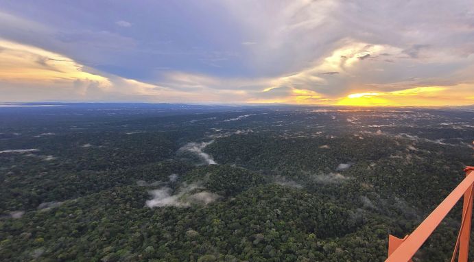 Blick über den Amazonas-Regenwald von einer Plattform des ATTO-Messturms aus: Vom über 325 Meter hohen Turm werden für die Klimaforschung wichtige Daten aus der Atmosphäre geliefert.