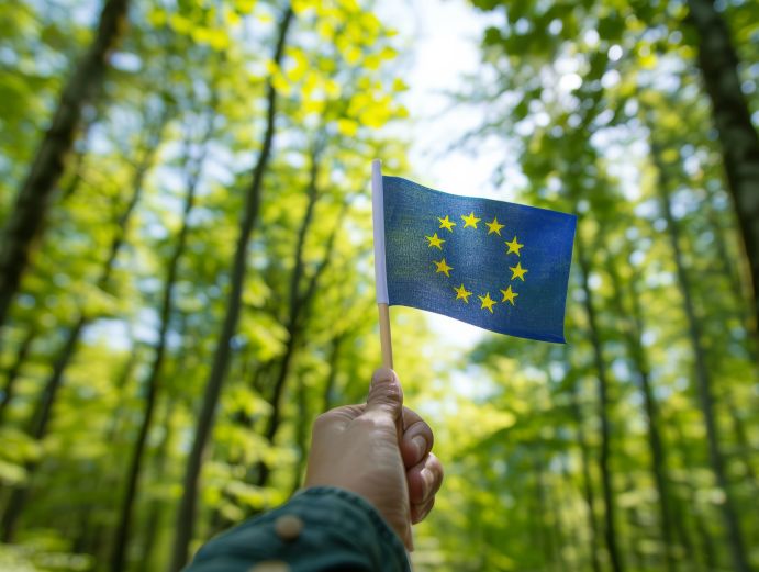 Hand mit EU-Fahne im Hintergrund Wald
