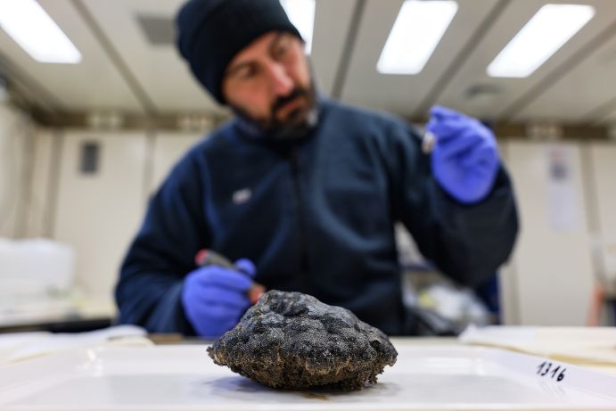 Untersuchung einer Manganknolle: Das Projekt MiningImpact 3 erforscht die langfristigen Auswirkungen des Abbaus metallischer Rohstoffe in der Tiefsee auf die Umwelt.