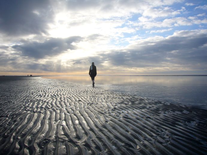 Blick auf das Wattenmeer bei Ebbe. Die Tidebecken haben eine große Bedeutung für den natürlichen Hochwasserschutz.