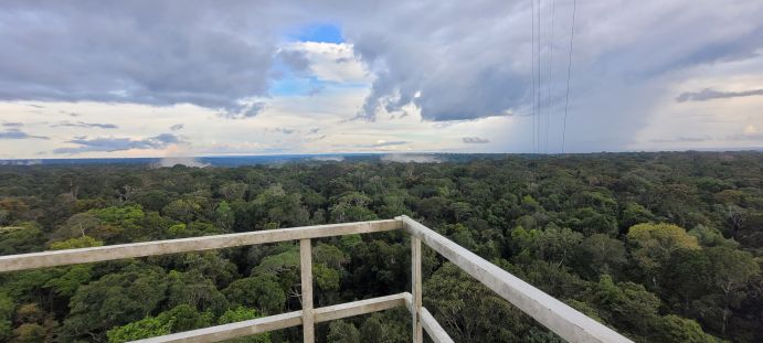 Der Blick vom Atmosphären-Messturm ATTO zeigt, wie isoliert der Turm inmitten des Regenwalds steht: Ideale Bedingungen für die Forschenden, um langfristige klimatische Veränderungen messen zu können