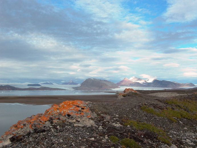 Blick auf die arktische Tundra